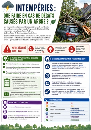 Illustration de l'actualité - cliquer pour agrandir