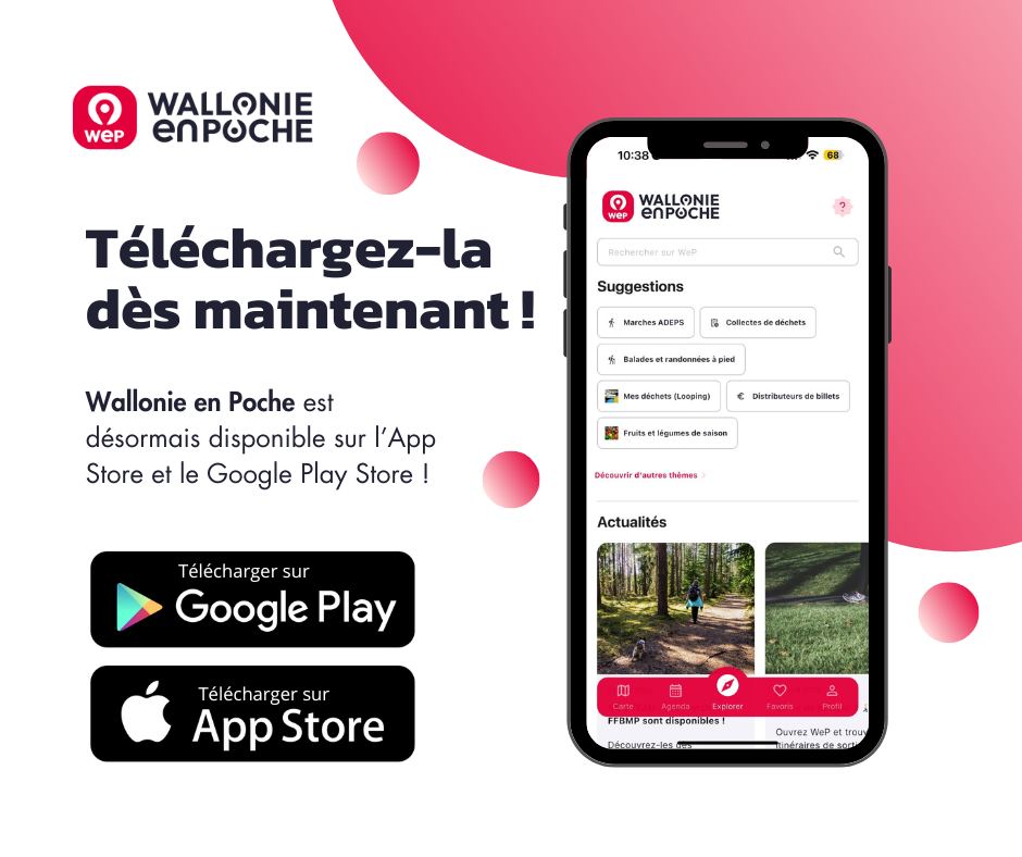 wallonie en poche