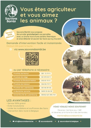 Illustration de l'actualité - cliquer pour agrandir