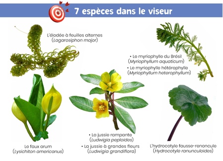 Illustration de l'actualité - cliquer pour agrandir