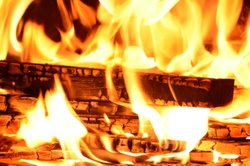 Vente de bois de chauffage le vendredi 20 novembre 2026 à Erquelinnes