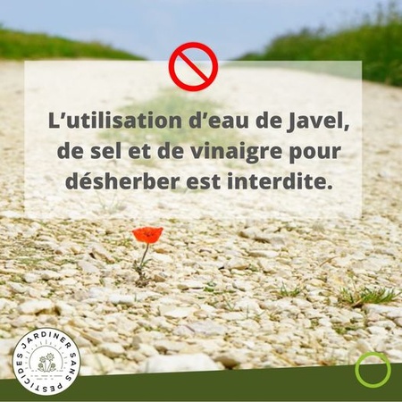 Illustration de l'actualité - cliquer pour agrandir