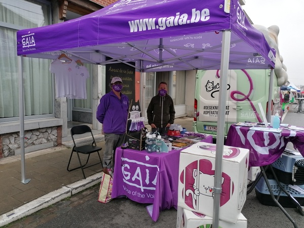 gaia 05-06 stand
